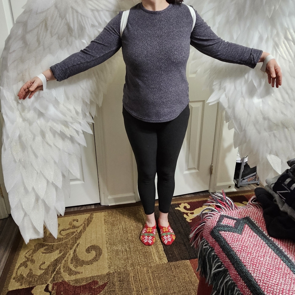 Costume wings